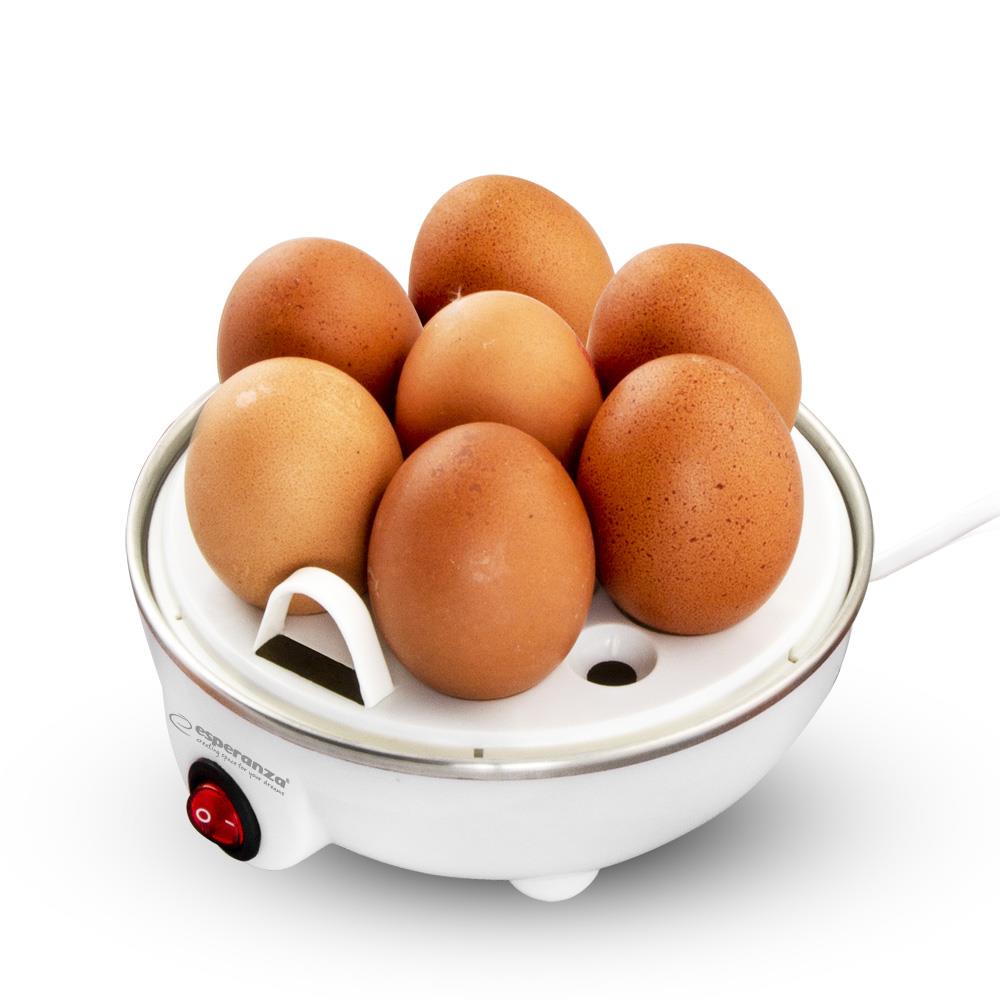 5901299954188 Jajowar Esperanza Egg Master EKE001 biały  - Incom Group
