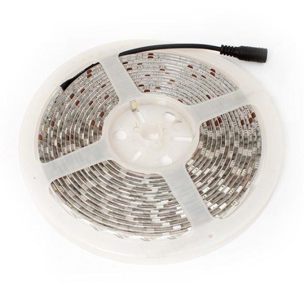 Taśma LED-5050 Abilite b.zimna 300LED 12V IP65 5m/10mm silikon 5901583544286  - Incom Group
