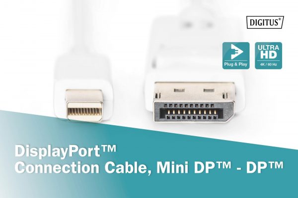 Kabel DisplayPort DIGITUS DP/M-DPmini /M, 1.1a biały, 2m  - Incom Group
 4016032289333